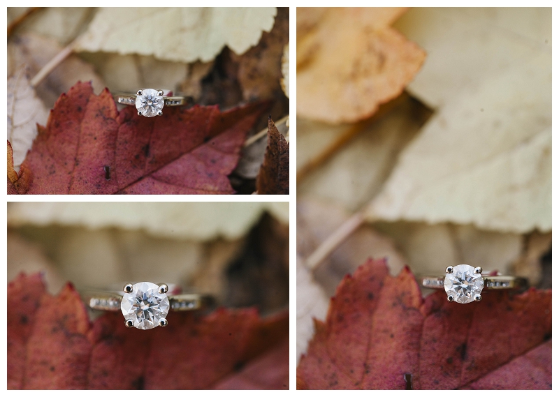 Deer Lake Park Fall Engagement Photos-25