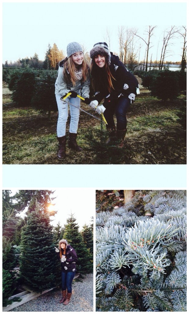 Christmas Tree Farm_071