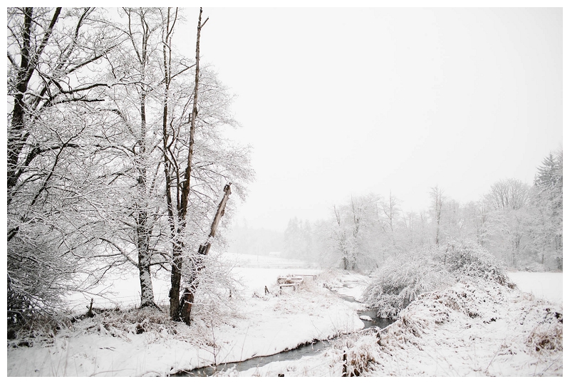 christmas winter snow scenery landscape photos_081