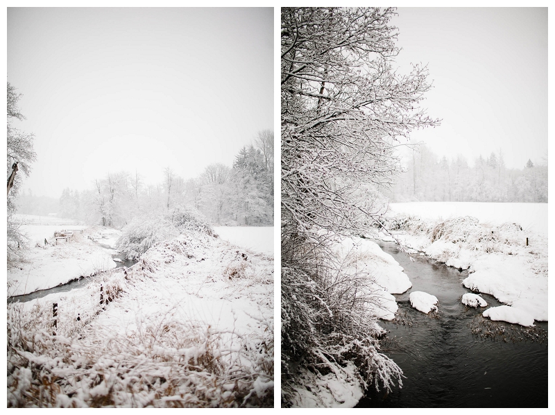 christmas winter snow scenery landscape photos_082