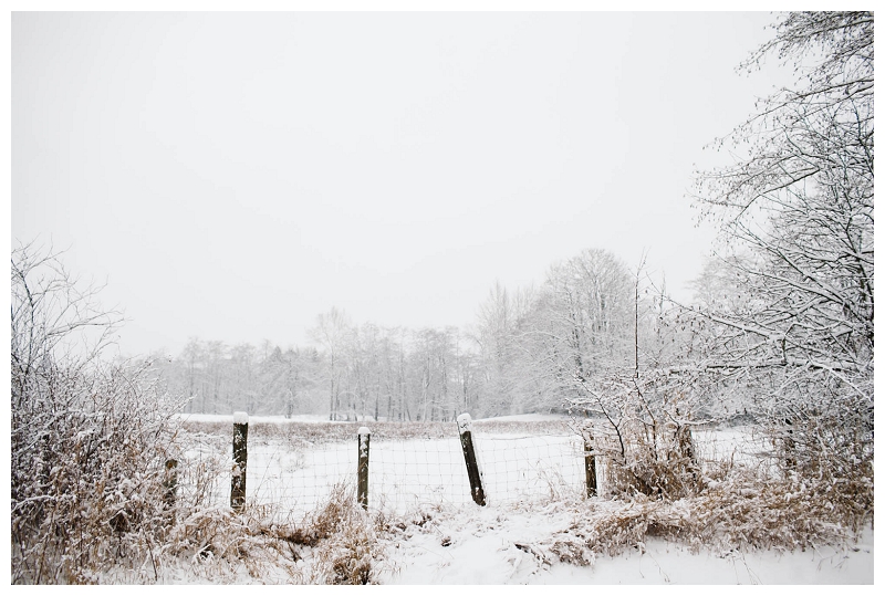 christmas winter snow scenery landscape photos_085