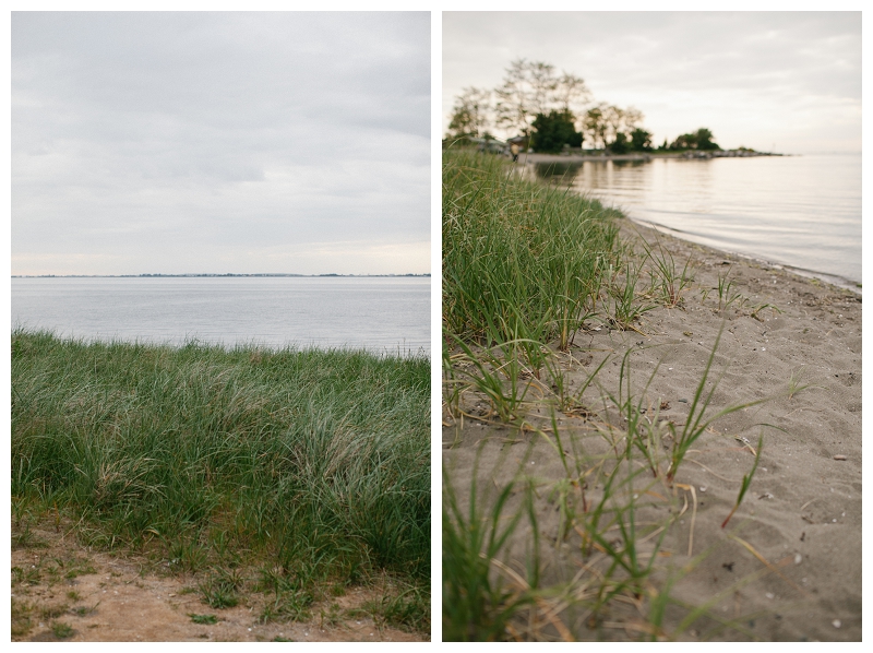 Crescent Beach Tall Grasses Portraits_063