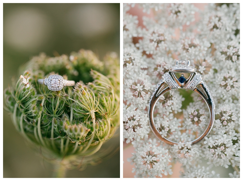 crescent beach surrey sunset engagement photographer-0041