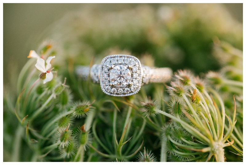 crescent beach surrey sunset engagement photographer-0042