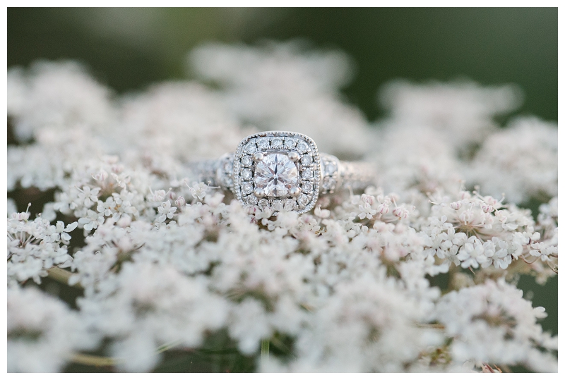 crescent beach surrey sunset engagement photographer-0044