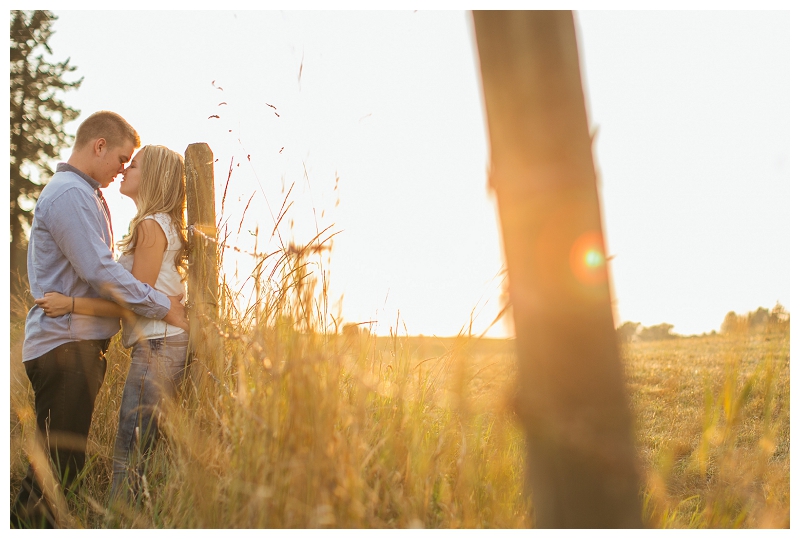 langley farm couples portraits country field at sunset-0009