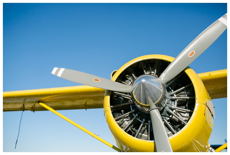 pitt meadows airport sunset engagement session-0012