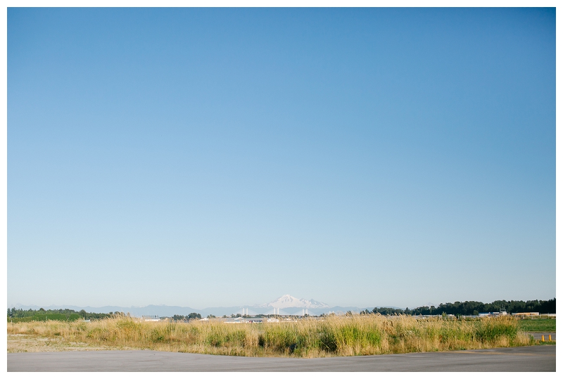 pitt meadows airport sunset engagement session-0014