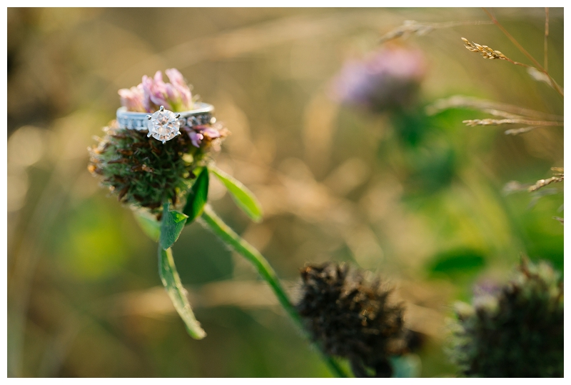 pitt meadows airport sunset engagement session-0021