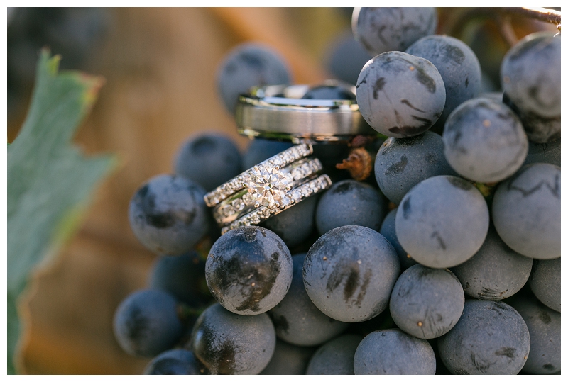 walnut beach adega winery osoyoos okanagan beach destination wedding photographer_239