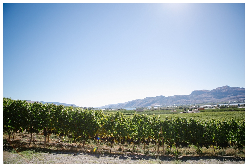 walnut beach adega winery osoyoos okanagan beach destination wedding photographer_240