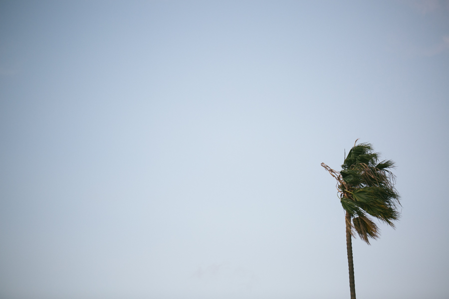 Intimate destination wedding photographer ll santa barbara beach photographer-12