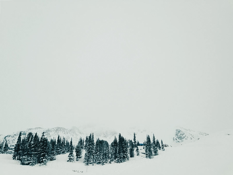 whistler squamish and pemberton adventurous engagement and wedding photographer-10