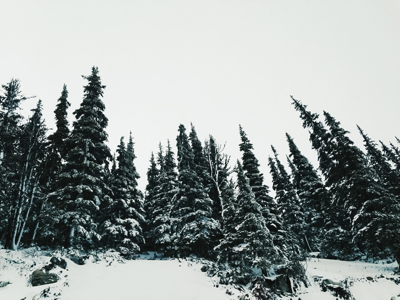 whistler squamish and pemberton adventurous engagement and wedding photographer-4