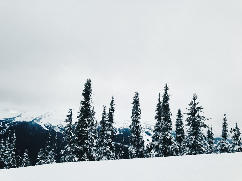 whistler squamish and pemberton adventurous engagement and wedding photographer-5