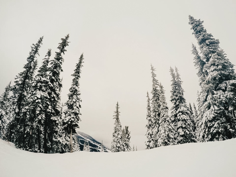 whistler squamish and pemberton adventurous engagement and wedding photographer-7