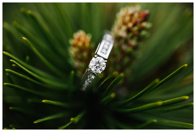 lighthouse park engagement photos-15