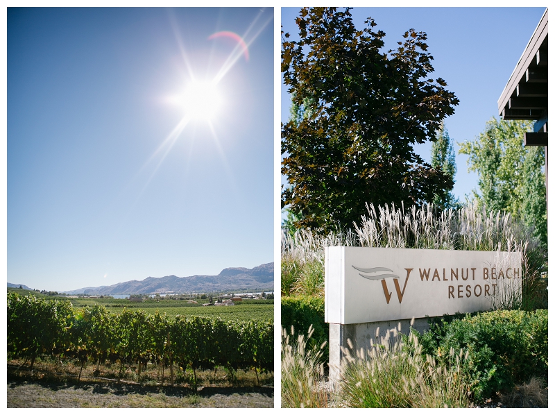 walnut beach adega winery osoyoos okanagan beach destination wedding photographer_227