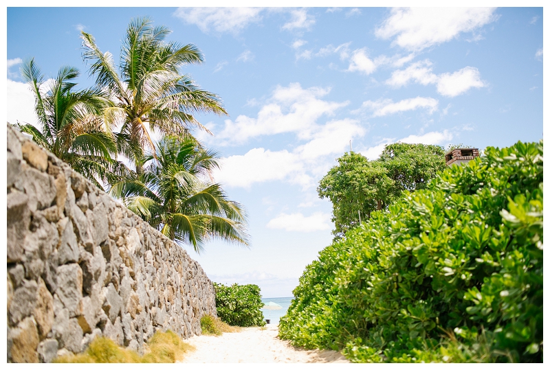 hawaii destination wedding photographer-7